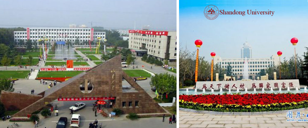 shandong medical university banner